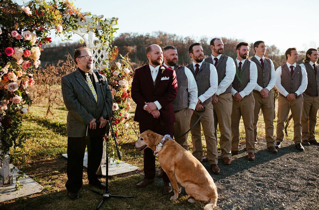 Ashley + Derek’s Dog Adoption Wedding Ceremony at Willow Brooke Farm